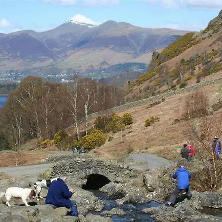 Nyaraló Little Leveret *