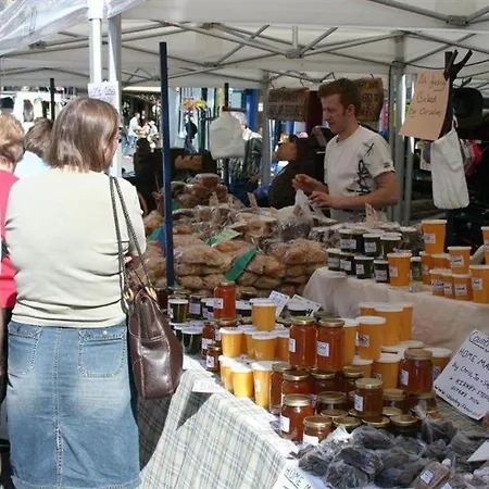 Little Leveret Keswick